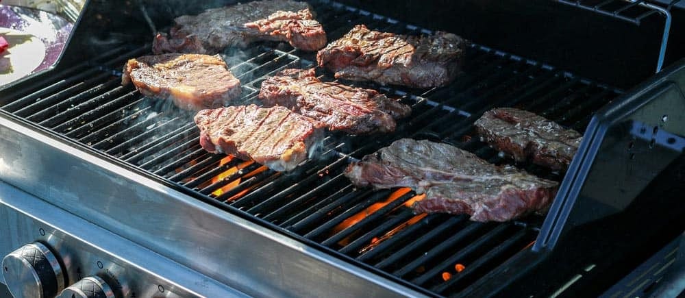 Best Portable Gas Grills