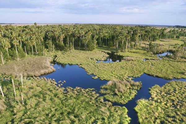 Best Camping Place In Florida