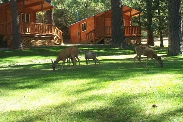 Best Camping Place In New Jersey