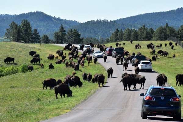 Best Camping Place in South Dakota