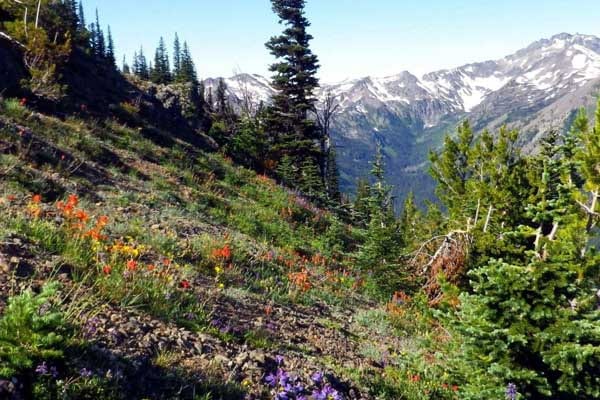 Best Camping Place In Washington