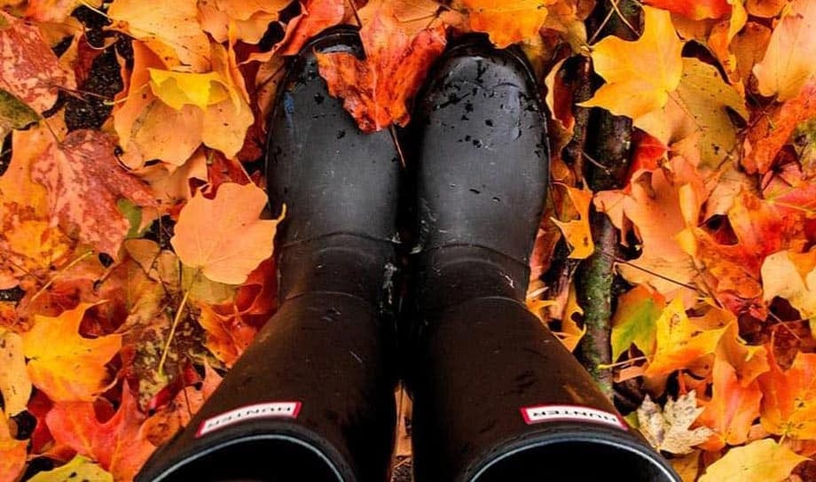 10 Best Wellington Boots For Men [New Research] 2026