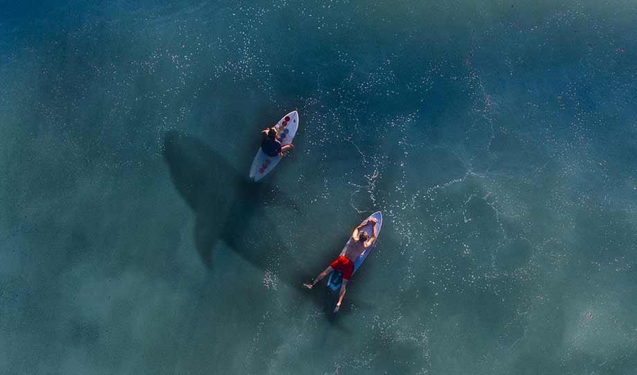 10 Best Inflatable Paddle Board (2026) Definitive Guide [New Research]