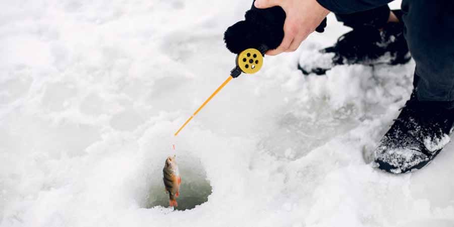Best Ice Fishing Rod