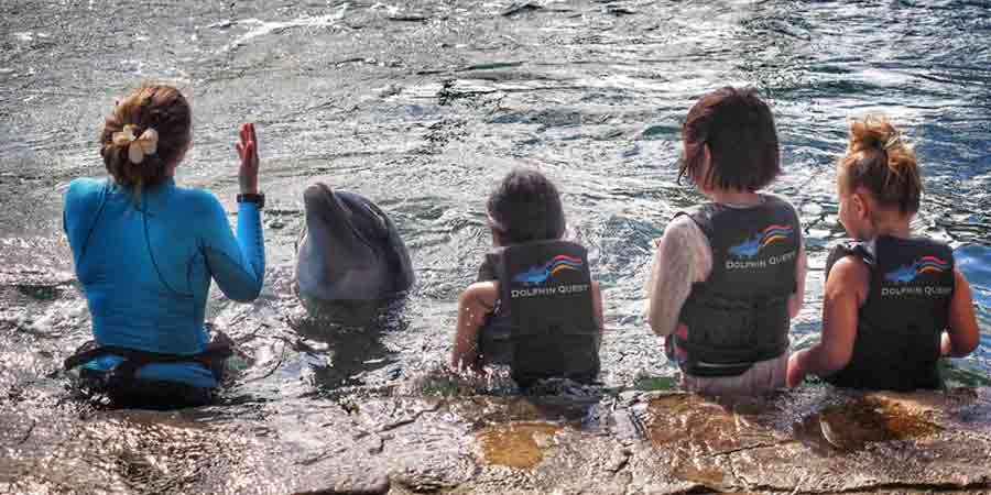 Best Infant Life Jacket: Definitive Guide (2026)