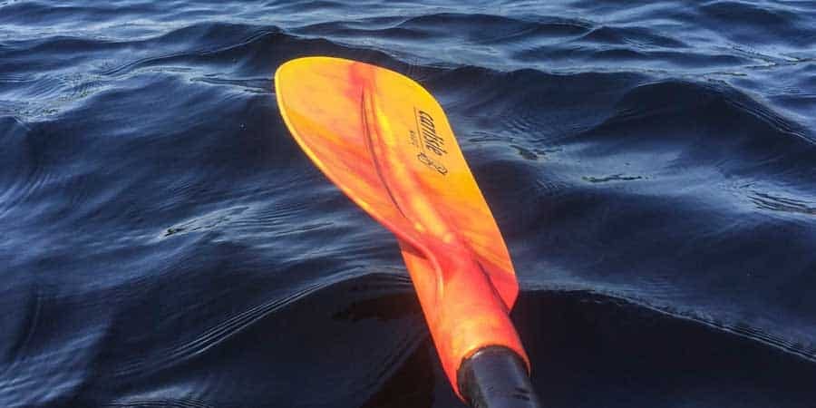 How To Choose The Best Kayak Paddle