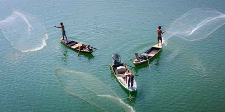 What should I look for when buying a fish finder What should I look for when buying a fish finder