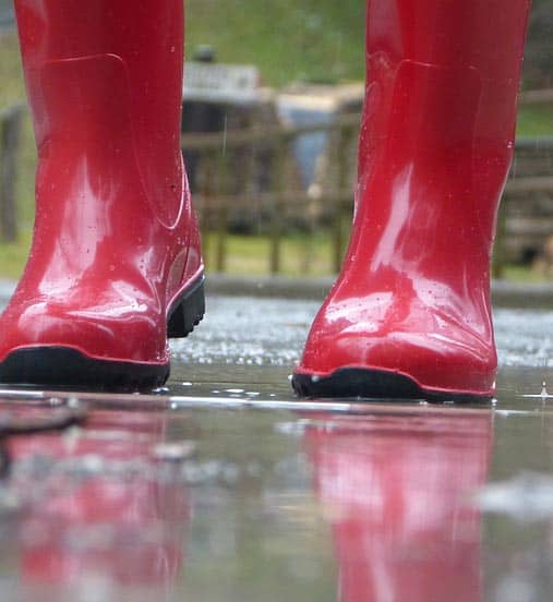 Muck Boots Tremont Wellington Women's Tall Waterproof Wellie Boot 