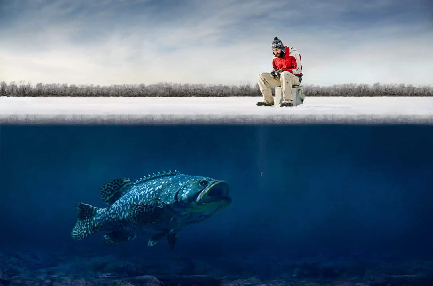 Funny Ice Fishing Picture