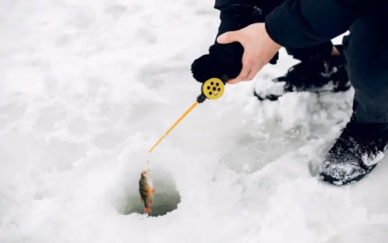 Best Ice Fishing Fish Finder FI