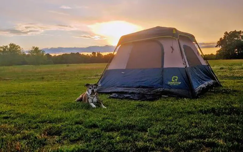 Best 6 shop person tent